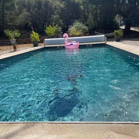 Les Lauriers Fleuris Bed & Breakfast